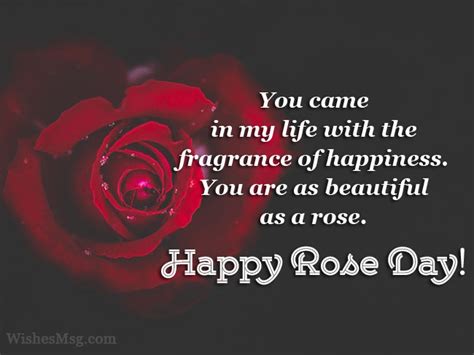 Rose Day Wishes Messages And Quotes Wishesmsg