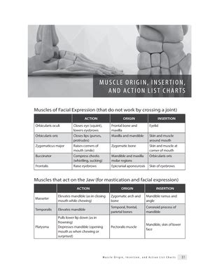 Viruset-RS - Viruset - Rina Skeraj UNIVERSITETI I PRISHTINES FAKULTETI ...