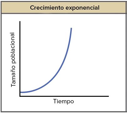 Biolog A Crecimiento Exponencial