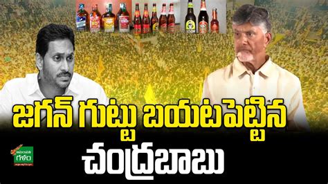 జగన గటట బయటపటటన చదరబబ Chandrababu Raveled CM Jagan secrets