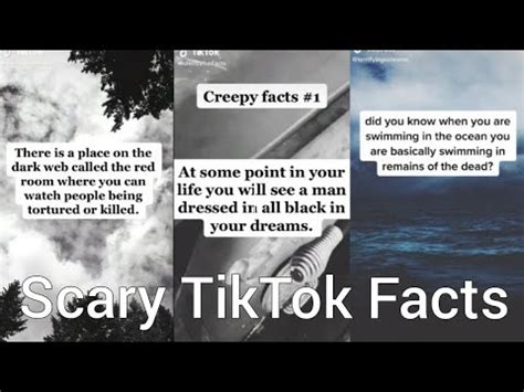 Scary TikTok Facts TikTok Compilation YouTube