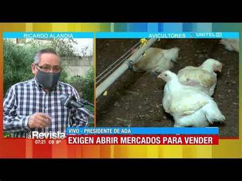 Avicultores reportan una caída al menos 40 de la demanda de la venta