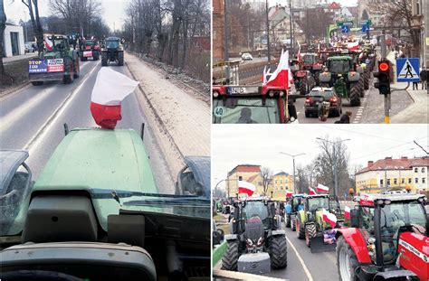 Gotowi na 55 Hodowla i Chów Bydła