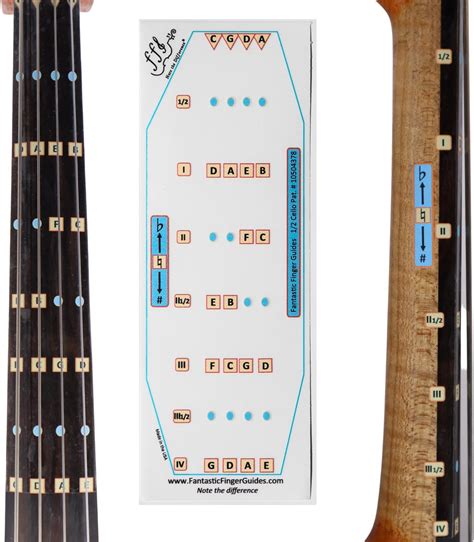 Fantastic Finger Guide For Cellos Stringed Musical