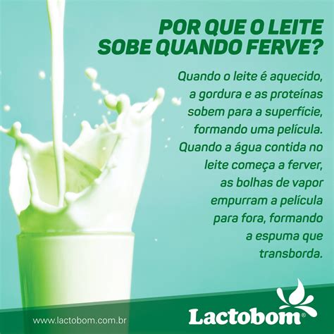 Porque O Leite Sobe Quando Ferve