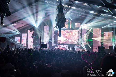 Decadence Arizona Event Review Edm Identity