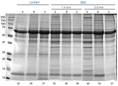 Proteomes Free Full Text Optimization Of A Protocol For Protein