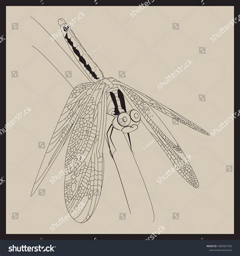 Printable Dragonfly Vector Line Art Your Stock Vector (Royalty Free) 1985907353 | Shutterstock