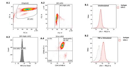 Facs Based Analysis Cellomatics Biosciences