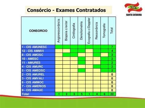 PPT CONSÓRCIOS INTERMUNICIPAIS DE SAÚDE PowerPoint Presentation free