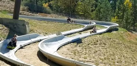 Alpine Slide | Alpine Slide at Magic Mountain