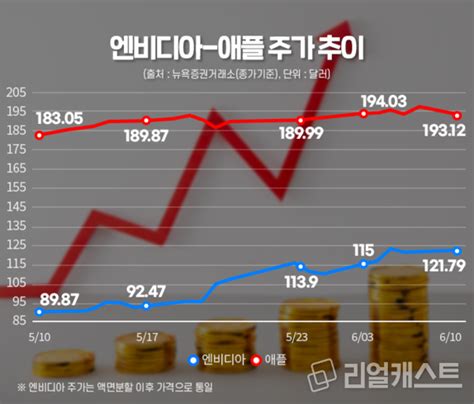 세계 시총 1위 넘보는 ‘엔비디아변수는 중국 보이콧