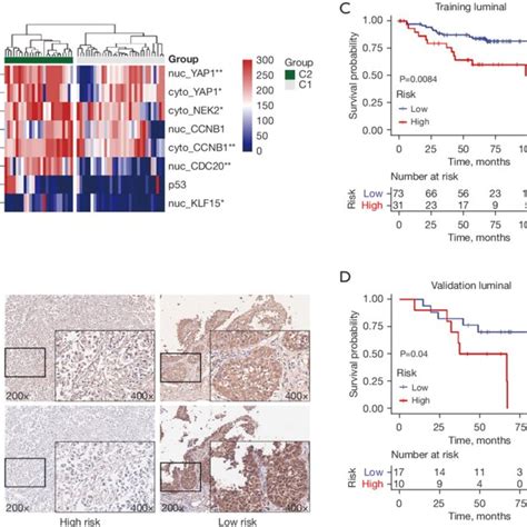 Ihc Staining Of Markers With Prognostic Significance And Corresponding Download Scientific