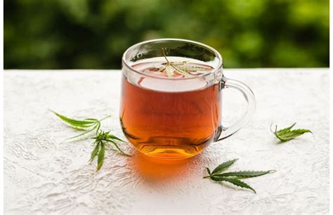 Tout Savoir Sur Les Infusions De CBD