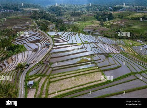 Rice Terrace Aerial Hi Res Stock Photography And Images Alamy