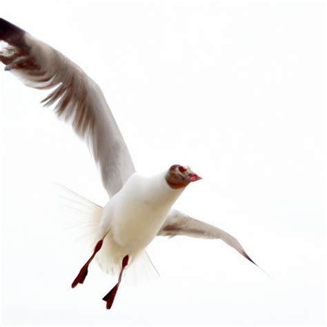 Why Do Birds Move Like Robots? Exploring the Science Behind Avian ...