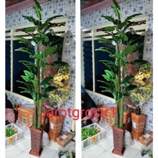 Jual POHON PISANG DENGAN POT JUMBO TINGGI 2 METER BUNGA HIAS PISANG