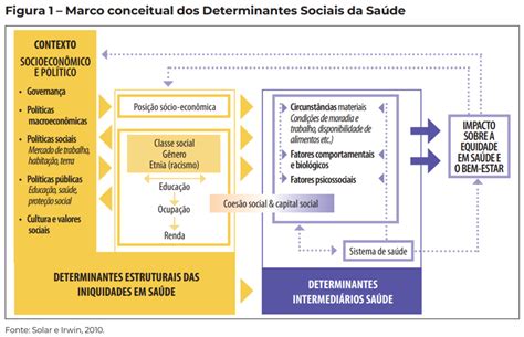 O que são os Determinantes Sociais da Saúde Grupo IBES