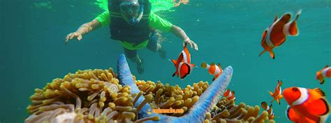 Open Trip Pulau Pahawang Lampung 3 Hari 2 Malam Explore Pulau Seribu