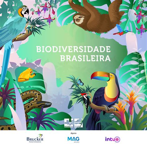 Jul Biodiversidade Brasileira Acembra Sincep News