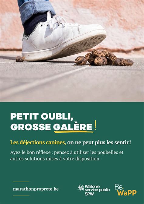 Affiche Déjection canine Petit oubli grosse galère en français