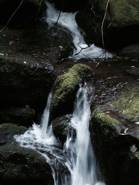 Chimney Tops | Smokey mountains, Favorite places, Outdoor