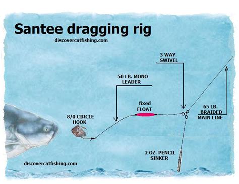 Catfishing Rigs Drastically Improve Your Effectiveness As An Angler ...