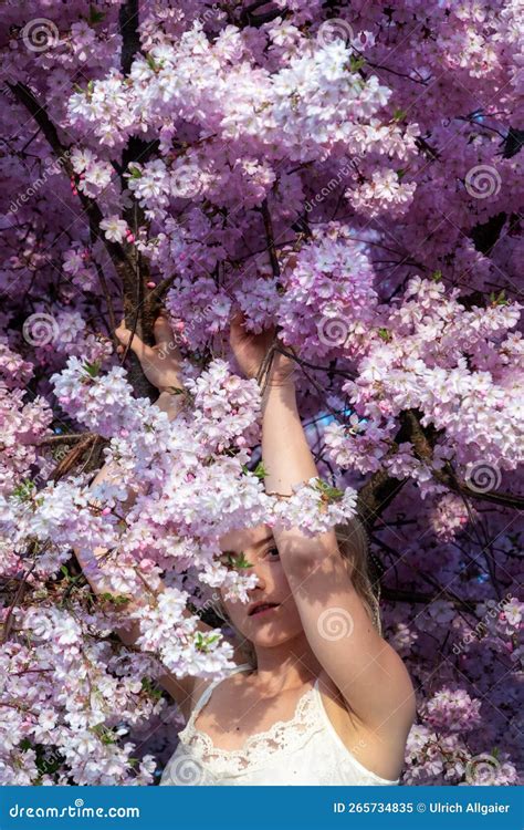 Sensual Seductive Young Blonde Woman Portrait Surrounded By Japanese Cherry Blossoms Stock Image