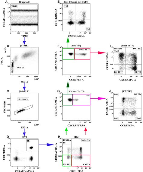 Table 1 From Imbalanced Immune Response Of T Cell And B Cell Subsets In