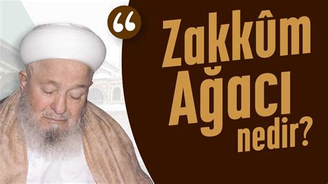 Zakkûm Ağacı Nedir Mahmud Ustaosmanoğlu kuddise sirruhû Efendi