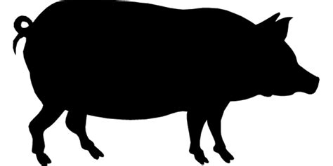 Download High Quality pig clipart black and white silhouette ...