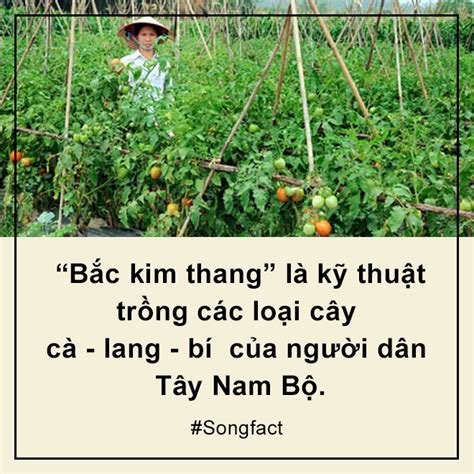 Song Facts B C Kim Thang C N Gi N L B I H T D Nh Cho Thi U Nhi