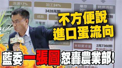 農業部不方便說進口蛋流向 加工蛋產地竟標示台灣 藍一張圖怒轟誤導消費者 Youtube