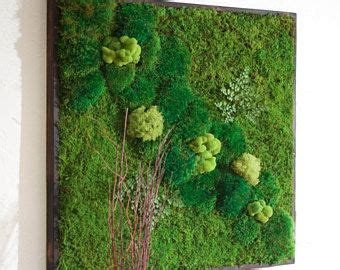 18x36 Real Preserved Moss Wall Art With Driftwood No Care Green