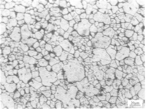 钛及钛合金 金相图谱1 钢铁知识 常州精密钢管博客网
