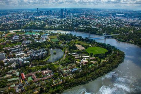 Discover The Vibrant Campus Life At St Lucia UQ