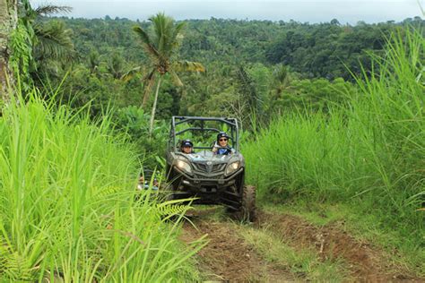 2 In 1 Buggy Explorer Canyon Tubing Bali Quad Discovery Tours