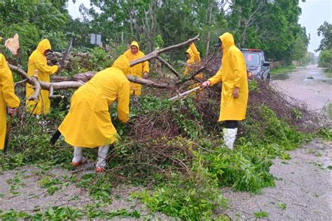 Beryl derriba árboles y deja zonas sin luz a su paso por Yucatán PorEsto