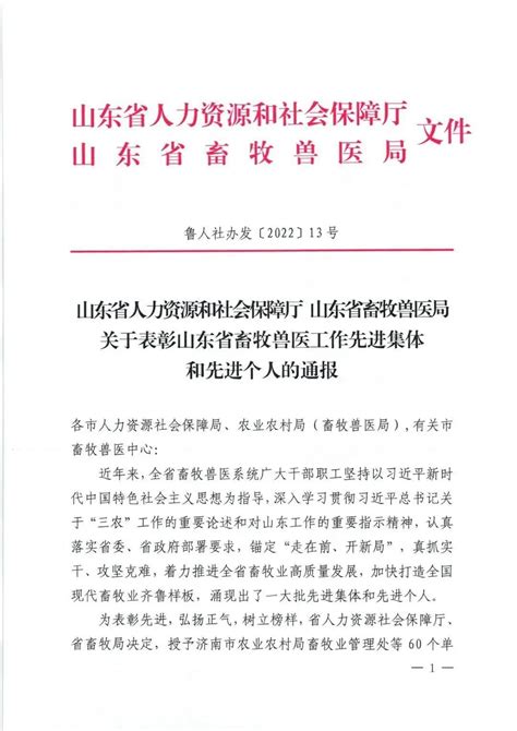 喜讯｜我市一集体获全省表彰！ 山东省 畜牧 发展中心