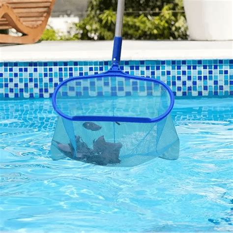 Essential Pool Maintenance Equipment For Clean Pools