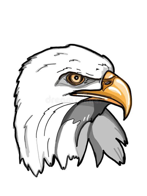 Eagle Portrait Realistic Illustration Drawing Black White Background Stock Illustration ...