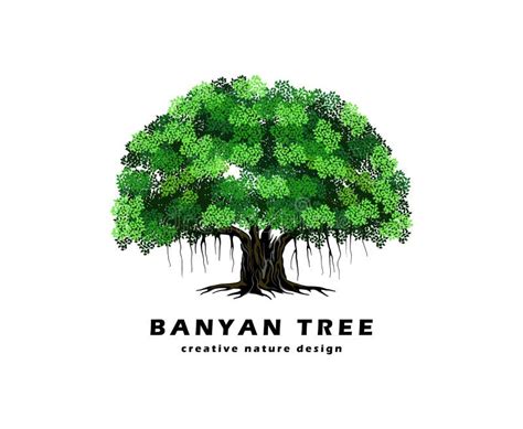 Banyan Tree Stock Illustrations – 3,581 Banyan Tree Stock Illustrations ...