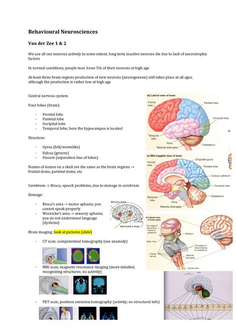 Behavioural Neurosciences Bachelor Yr Behavioural Neurosciences