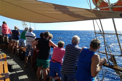 Paseo En Goleta Con Avistamiento De Cet Ceos En Costa Adeje