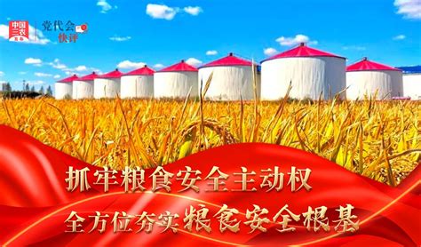 党代会快评 抓牢粮食安全主动权 全方位夯实粮食安全根基凤凰网视频凤凰网