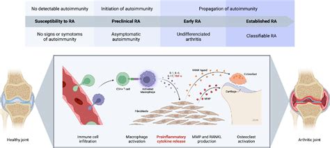 Figure 1 From The Evolution Of Tnf α Blockade For The Treatment Of Rheumatoid Arthritis