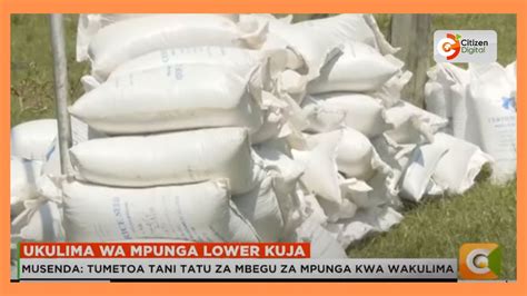 Wakulima 300 Wapewa Pembejo Katika Mradi Wa Ukulima Wa Mpunga Lower