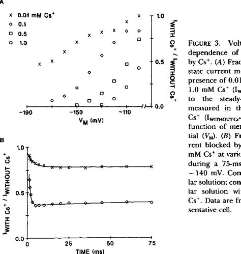 Figure From Voltage Dependent Block Of Cardiac Inward Rectifying