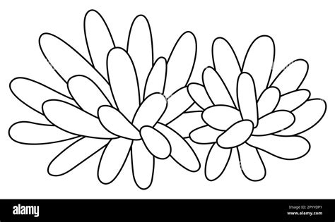 Vector Black And White Sea Anemone Icon Under The Sea Line