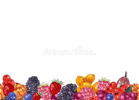 Seamless Border with Hand Drawn Berries Stock Vector - Illustration of border, natural: 139908977